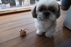 三輝ﾋﾞﾙ１階にopen予定の中華料理屋さん★