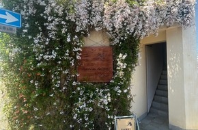 . ⁺ . ✦ .暖かくなってきました ⁺ . ✦ . ⁺ .