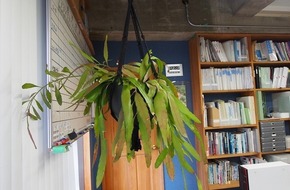 三輝の癒しが仲間に加わりました