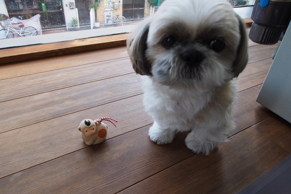 三輝ﾋﾞﾙ１階にopen予定の中華料理屋さん★