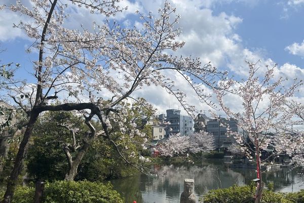 春の京都