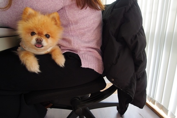 三輝のアイドルぎんちゃん☆