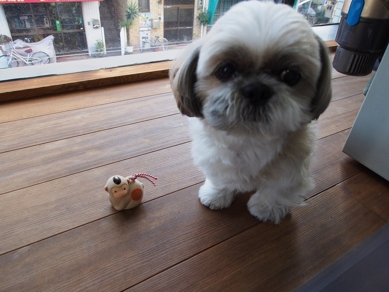 三輝ﾋﾞﾙ１階にopen予定の中華料理屋さん★